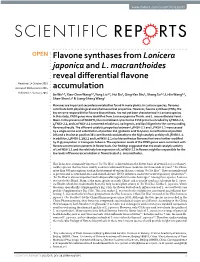 Flavone Synthases from Lonicera Japonica and L. Macranthoides