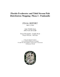 Panhandle FINAL REPORT