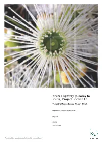 Project Section D