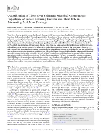 Quantification of Tinto River Sediment Microbial Communities