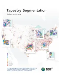 Tapestry Segmentation Reference Guide