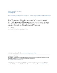 The Theoretical Application and Comparison of the Olfactory Sensory Organs in Swine Vs Canines for Accelerant and Explosives Detection Naomi M