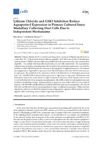 Lithium Chloride and GSK3 Inhibition Reduce Aquaporin-2 Expression in Primary Cultured Inner Medullary Collecting Duct Cells Due to Independent Mechanisms