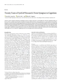 Twenty Years of Syngap Research: from Synapses to Cognition