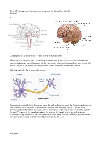 1. 2. A) Explain the Compositions of White Matter and Gray