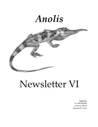 Anolis Newsletter VI