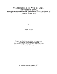 Characterization of the White-Rot Fungus, Phanerochaete Carnosa , Through Proteomic Methods and Compositional Analysis of Decayed Wood Fibre