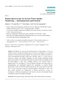 Raman Spectroscopy for In-Line Water Quality Monitoring — Instrumentation and Potential