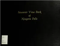 Souvenir View Book of Niagara Falls.