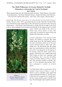 The Moth Pollinators of Greater Butterfly Orchids Platanthera