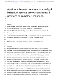 A Pair of Esterases from a Commensal Gut Bacterium Remove Acetylations from All Positions on Complex Β-Mannans