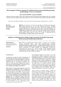 Electromagnetic Pollution Assessment in Different Environments with Measurements and Modellings at Very Low Frequency