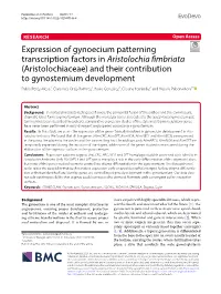 Expression of Gynoecium Patterning Transcription Factors in Aristolochia