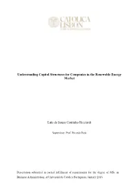 Understanding Capital Structures for Companies in the Renewable