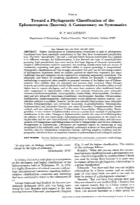 Toward a Phylogenetic Classification of the Ephemeroptera (Lnsecta): a Commentary on Systematics