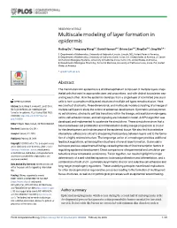 Multiscale Modeling of Layer Formation in Epidermis