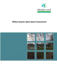 MK Open Space Assessment