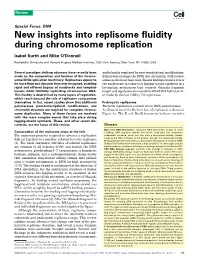 New Insights Into Replisome Fluidity During Chromosome Replication