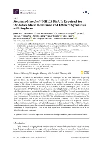 Sinorhizobium Fredii HH103 Rira Is Required for Oxidative Stress Resistance and Efﬁcient Symbiosis with Soybean