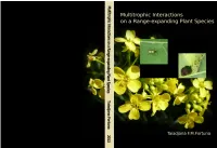 Multitrophic Interactions on a Range-Expanding Plant Species