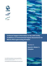 Technical Support Information to the CMS Family Guidelines on Environmental Impact Assessments for Marine Noise-Generating Activities