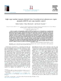 High Copy Number Mutants Derived from Corynebacterium Glutamicum Cryptic Plasmid Pam330 and Copy Number Control