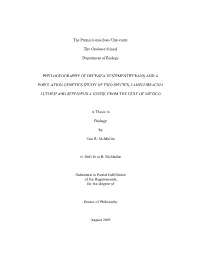 Open Mcmullin-Phd-Thesis2.Pdf