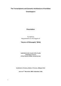 The Transcriptomic and Genomic Architecture of Acrididae Grasshoppers