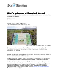 What 'S Going on at Kawainui Marsh?