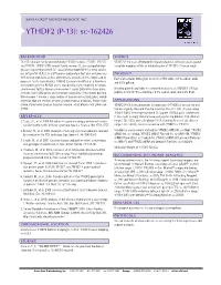 YTHDF2 (P-13): Sc-162426