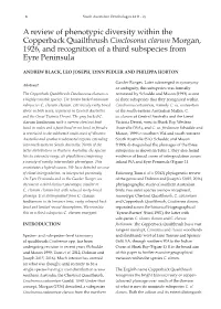 A Review of Phenotypic Diversity Within the Copperback Quailthrush Cinclosoma Clarum Morgan, 1926, and Recognition of a Third Subspecies from Eyre Peninsula