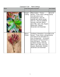 Cuttings Picture Product Name Product Description Sizes Available