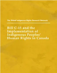 Bill C-15 and the Implementation of Indigenous Peoples' Human Rights