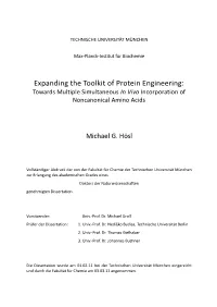 Expanding the Toolkit of Protein Engineering: Towards Multiple Simultaneous in Vivo Incorporation of Noncanonical Amino Acids