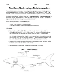 Classifying Sharks Using a Dichotomous Key
