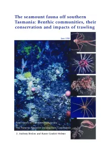 CSIRO Report Template