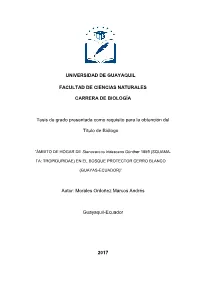 MMORALES-TESIS.Pdf