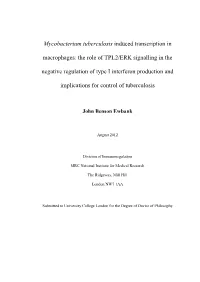 Mycobacterium Tuberculosis Induced Transcription in Macrophages: the Role of TPL2/ERK Signalling in the Negative Regulation of T