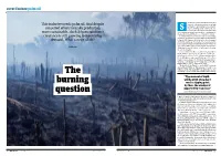 Still the Fires Burn. in Sumatra Slash