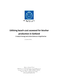 Utilizing Beach-Cast Seaweed for Biochar Production in Gotland a Study of Energy and Carbon Balances of Algal Biochar