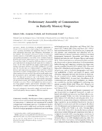 Evolutionary Assembly of Communities in Butterfly Mimicry