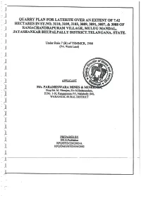 Quarry Plan for Laterite Over an Extent of 7.42 Hectares in Sy.No