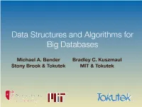 Data Structures and Algorithms for Big Databases