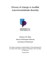 Drivers of Change in Mudflat Macroinvertebrate Diversity