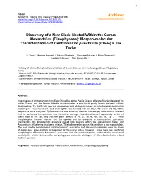 (Dinophyceae): Morpho-Molecular Characterization of Centrodinium Punctatum (Cleve) F.J.R