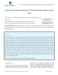 Diversity and Habitat Selection of Wetland Birds in Nilgiris, South India