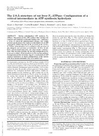 The 2.8-Å Structure of Rat Liver F1-Atpase: Configuration of a Critical Intermediate in ATP Synthesis/Hydrolysis