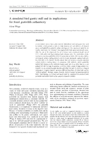 A Simulated Bird Gastric Mill and Its Implications for Fossil Gastrolith Authenticity