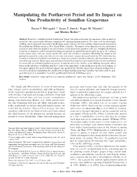 Manipulating the Postharvest Period and Its Impact on Vine Productivity of Semillon Grapevines