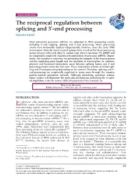 The Reciprocal Regulation Between Splicing and 3-End Processing